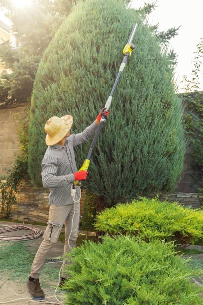 Best Tree Mulching Services  in Bogata, TX